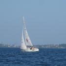 08. Панда на дистанции.jpg