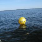 17. Ну что - гоняемся.jpg