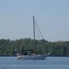 32. Судейское на знаке.jpg