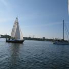 58. Борьба на финише.jpg