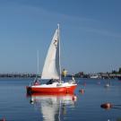 75. Буи - буи. Который наш.jpg