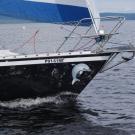 88. Дельфин.jpg