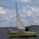 95. Раздувает.jpg